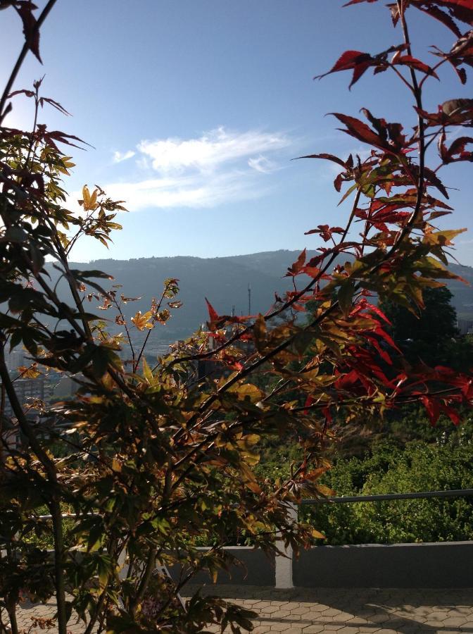 Douro Vally Inn Peso da Régua Екстериор снимка